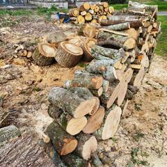 【取引き中】薪ストーブ丸太　クヌギ、樫の木の画像