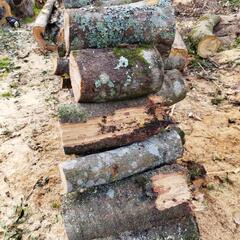 【取引き中】薪ストーブ丸太　クヌギ、樫の木の画像