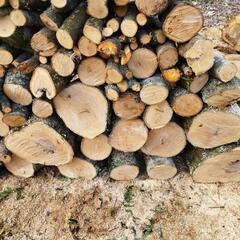 【取引き中】薪ストーブ丸太　クヌギ、樫の木の画像