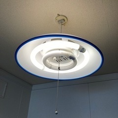 電球