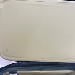 THE NORTH FACE フィルデンスクーラー12 （ニュートープグリーン） 中古