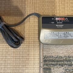 【１畳サイズ】ホットカーペット　ダニアウト機能の画像