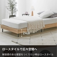 LOWYAスチール脚すのこベットの画像