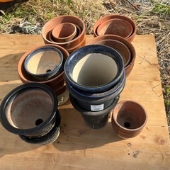 (無料)植木鉢セットの画像