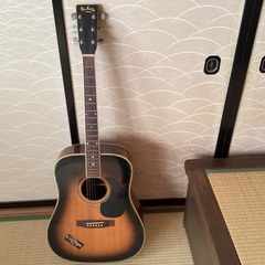 Ｐro Martin アコースティックギター