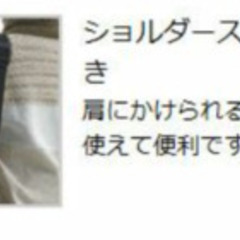 リッチェル リベラ フルエR ブラックの画像