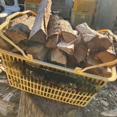 薪の王様　樫の薪　乾燥済み　詰め放題