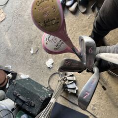 女性用ゴルフクラブ