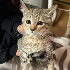 生後３ヶ月