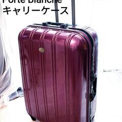 Porte Blanche　大型キャリーケース　タイヤゴム破損の画像