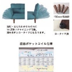 【無料】【大田区北千束】【譲ります】2人掛けソファー ビーカンパニーの画像