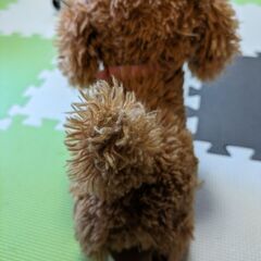 喋って動く犬のおもちゃ