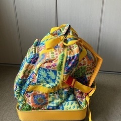 スキー用キャリーバッグの画像