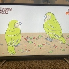 Hisense ハイセンス ハイビジョンLED液晶テレビ 32型...