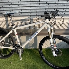 ルイガノ カスタム マウンテンバイク自転車 ホワイト アルミフレーム ルイガノ マウンテンバイク MTB 室内保管