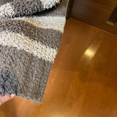ジーユー　ＧＵストライプモコモコ　パーカーの画像