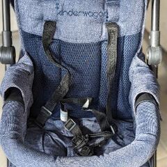 2人乗り ベビーカー Kinderwagonの画像