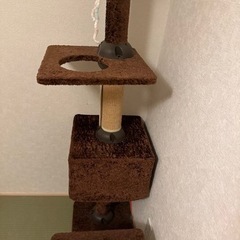 キャットタワーの画像