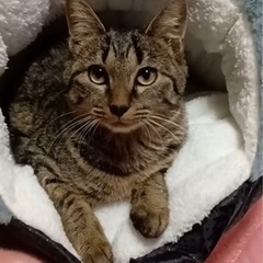 ちょっぴり怖がりだけど本当は甘えたい「ララちゃん」