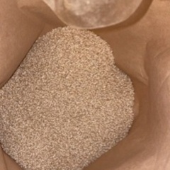 能登産のもち米(カグラモチ)⭐️残り60kg⭐️
