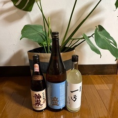 富山のお酒　神泉、立山、満寿泉