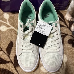 NIKE SB グリーンホワイト　新品未使用！の画像