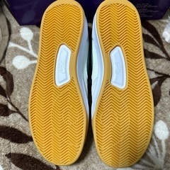 NIKE SB グリーンホワイト　新品未使用！の画像