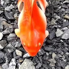 ノリタケ金魚二つで。の画像