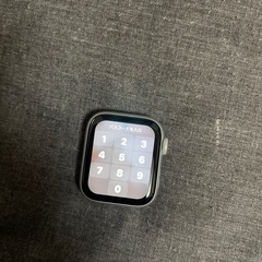 12/30昼間　相鉄沿線（横浜→海老名、湘南台）Apple Watch series4 40mm シルバー