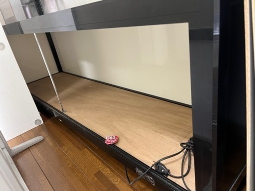 ショーケース