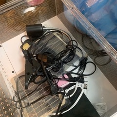 爬虫類用品