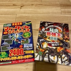 攻略本他　美品決まりました