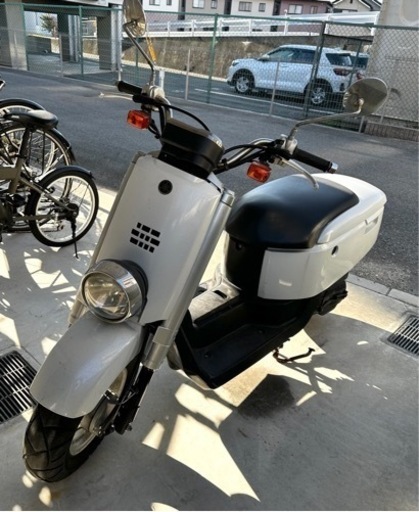 〖売却済〗白VOX☆ﾐ