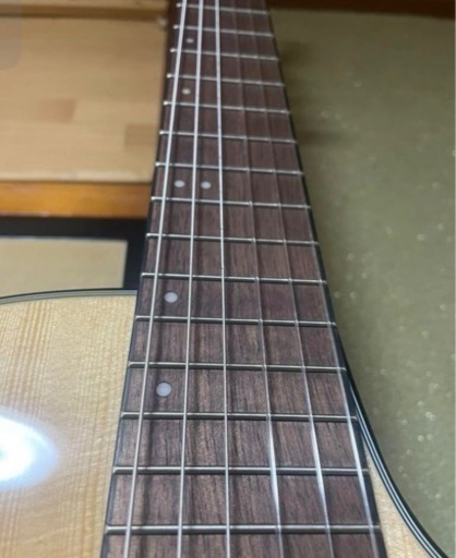 GA30TCE NT アイバニーズ エレガット GA-30TCE