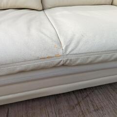 《商談成立》中古品　二人掛けソファーの画像