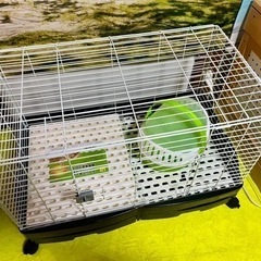 イージーホーム EVO 80の画像