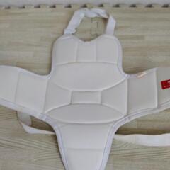 ミズノ　プロテクター（胸用）の画像