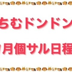 ちむドンドン1月フットサル日程