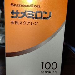 始めまして?
