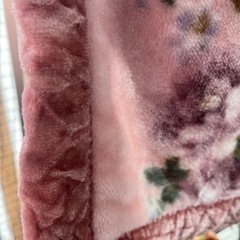毛布の画像