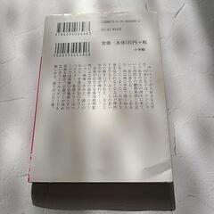 小説 きみと、波にのれたら 豊田美加の画像