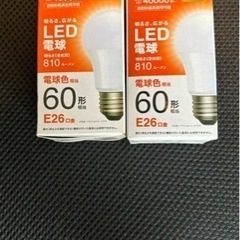 【ニトリ製定価399円】未使用品です。　2個セットです！