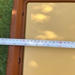 犬　トイレの画像