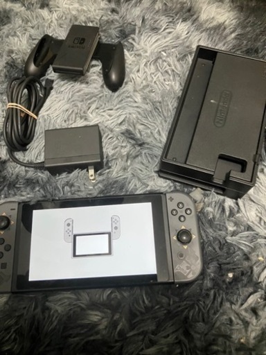 その他 Nintendo Switch