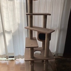 (お譲り先決まりました)180cm？キャットタワーこのままでお譲りします　0円の画像