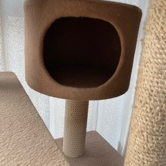 (お譲り先決まりました)180cm？キャットタワーこのままでお譲りします　0円の画像