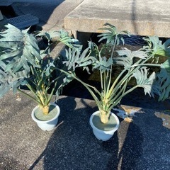 観葉植物造花　値下げしました