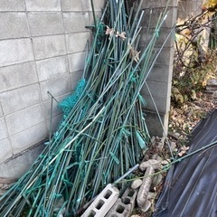 園芸支柱の画像