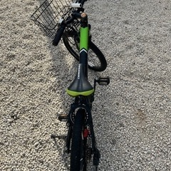 キャノンデール  キッズの画像