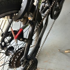 キャノンデール  キッズの画像